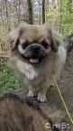 Nala – 2026-04-18